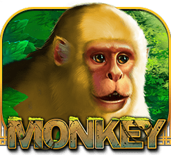 playstar Slot